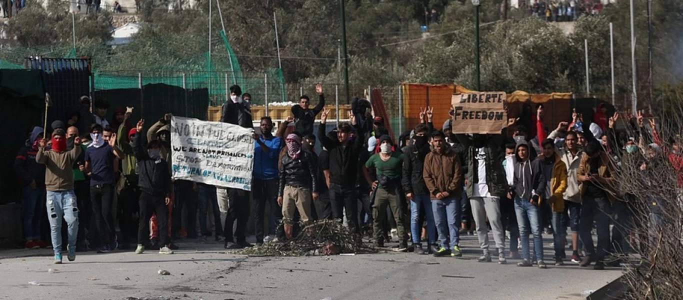 Μόρια: Εικόνες καταστροφής από τους αλλοδαπούς - Χιλιάδες ελαιόδεντρα κομμένα - Αποψιλώνουν ολόκληρες εκτάσεις